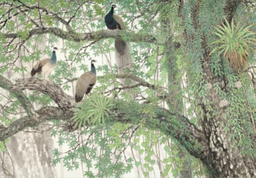 ağacın üzerindeki tavus kuşları…